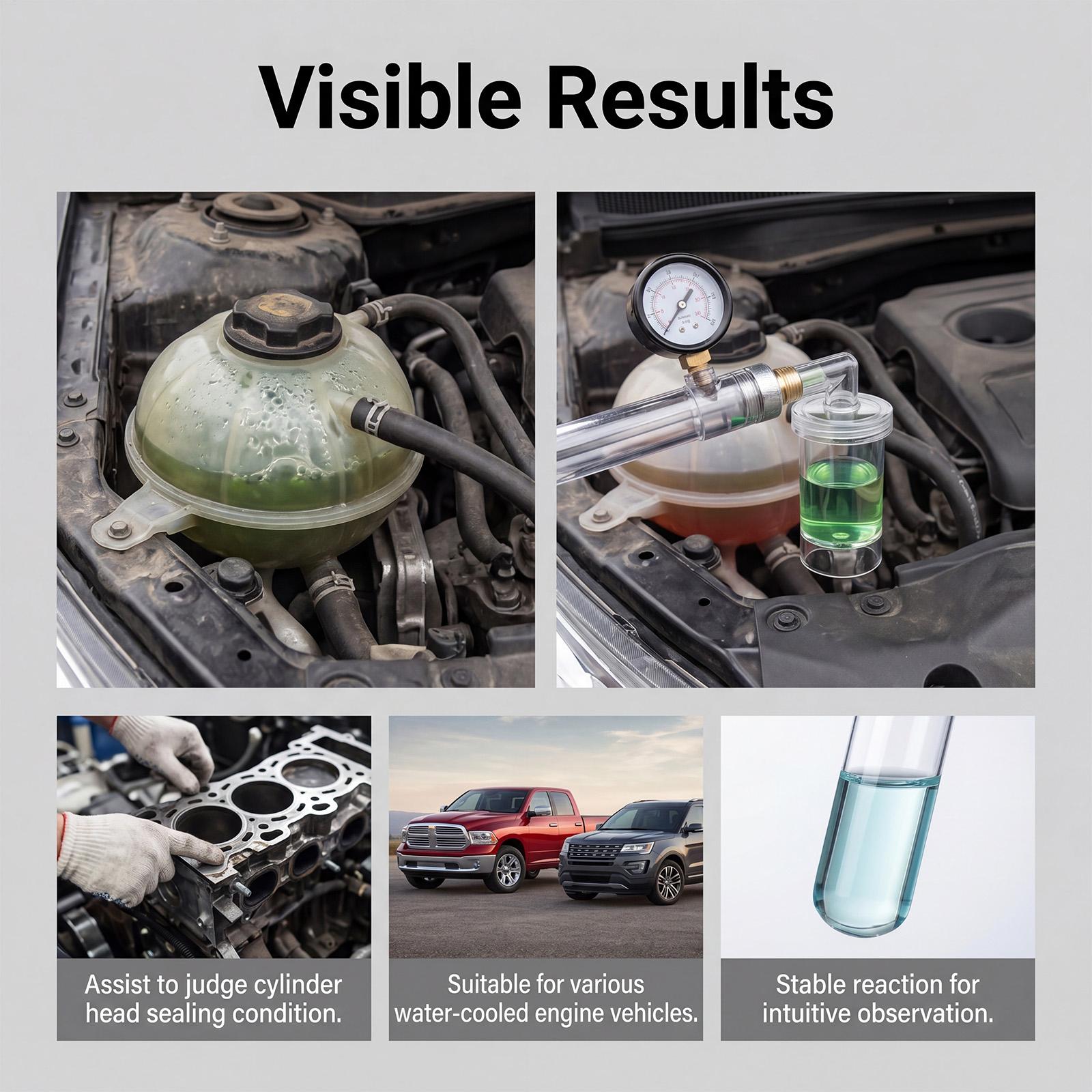 Combustion Leak Detector Fluid - Auto Repair Shop 评论和价格