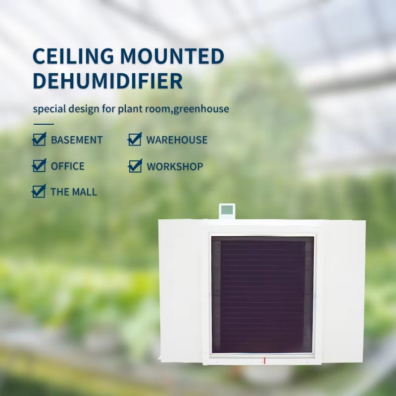 Large 480L Air Dehumidifier fo - Air Compressor 评论和价格